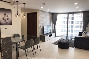 Low rental 2 bedroom apartment in Midtown with full modern and nice furniture