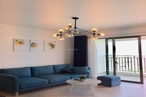 Cheap 2 bedroom apartment for rent in District 7 with full furniture and nice view