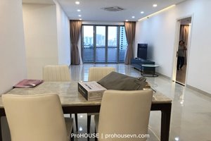 No option 4 bedroom apartment in Phu My Hung for rent
