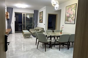 Beautiful two-bedroom apartment for rent in Midtown full furniture