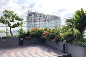 Big penthouse for rent in Thao Dien with full luxury furniture