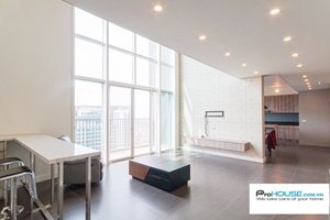Luxury penthouse in Felix en Vista for rent with modern furniture and river view