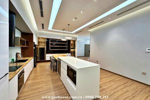 Penthouse for rent in the center of Ho Chi Minh City - modern design - 300m2 having garden