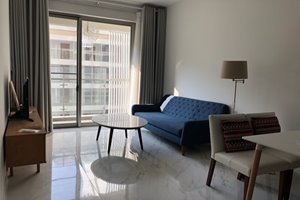 1 bedroom apartment for rent in Phu My Hung, The Symphony Midtown