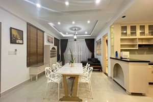 Spacious and fully furnished apartment for rent in Green Valley with beautiful design