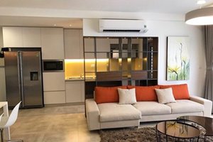 Cozy 2 bedroom apartment for rent in Green Valley with full luxury furniture