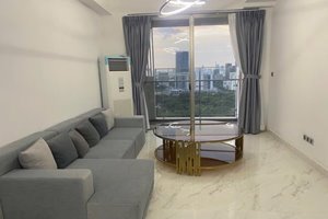 River view apartment for rent in Midtown Phu My Hung with modern furniture