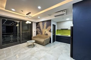 Brand new 1 bedroom apartment for rent in Phu My Hung