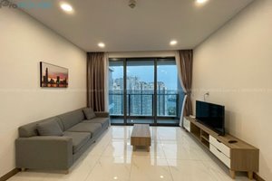 Nice apartment for lease with 2 bedrooms, fully furnished, high floor view, good price