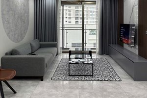 Modern and luxurious 2 bedroom apartment for rent at Midtown