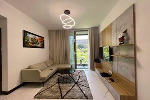 1 bedroom apartment for rent in Tilia-Empire City with luxurious furniture