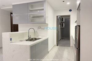 Cheap price 2 bedroom apartment in Midtown for rent with full of furniture