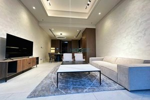Penthouse for rent in Thu Thiem with good price only 3000 USD/month 