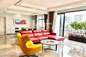 For sale – Penthouse Canh Vien with fully furnished and  private garden