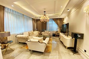 Single villa for rent near Midtown with good quality furniture and nice equipment